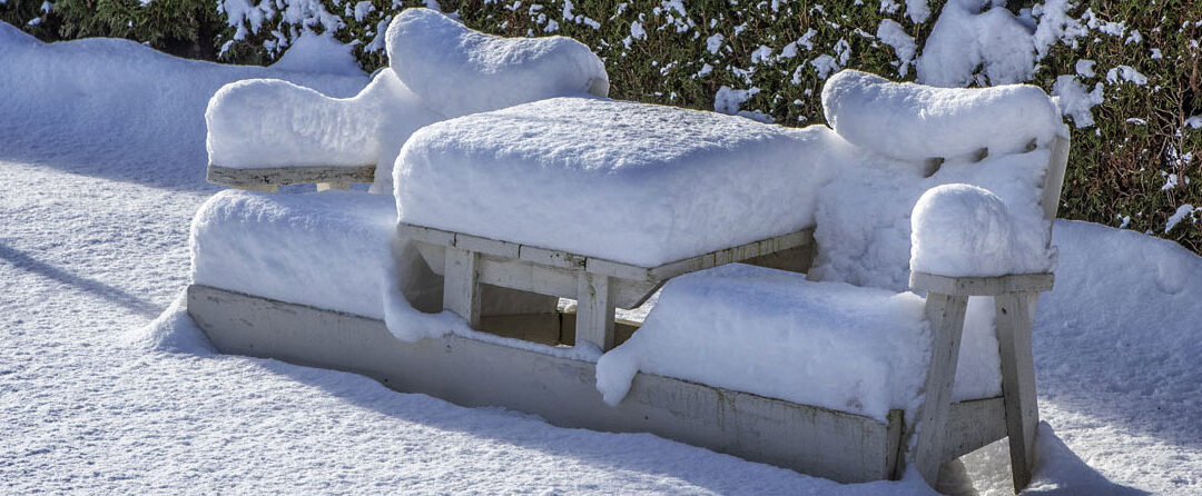 Susan’s Garden December-February