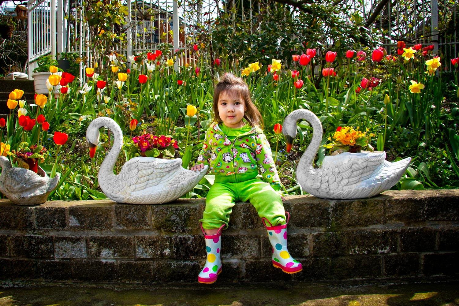 Day-312---Olivia-and-Swans