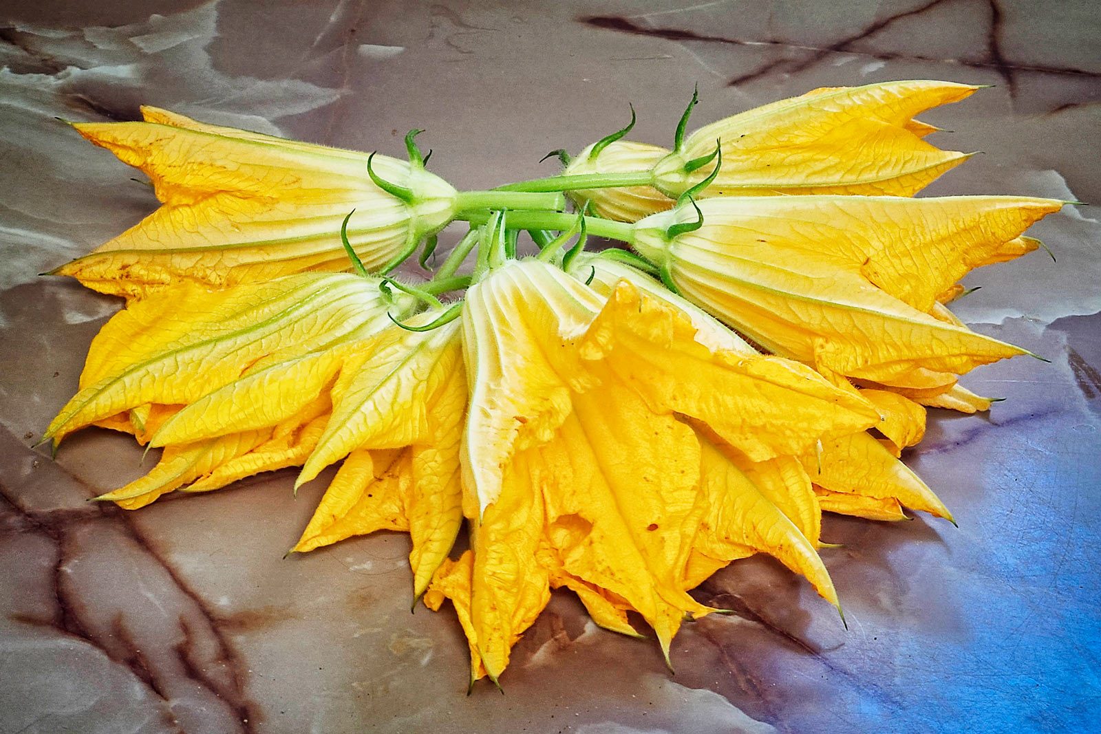 Day-329---Zucchini-Flowers