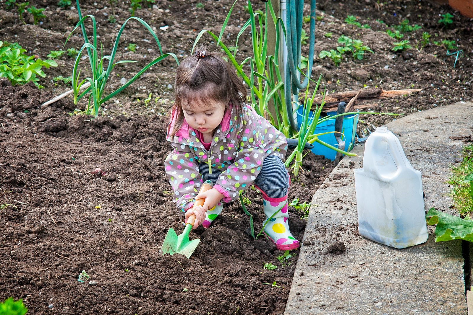 Day-354-Everybody-Works