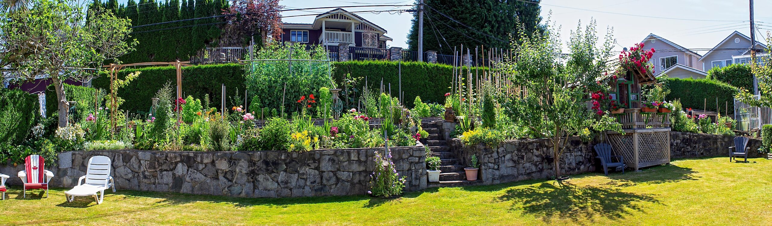Day-356-Garden-Pano