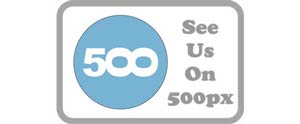 500px-Web