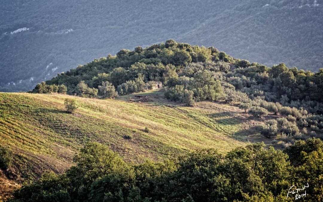 Il-Rustico-(_MG_2844)