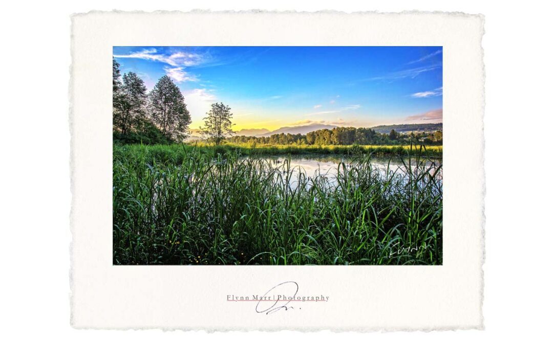 Print—Burnaby-Lake