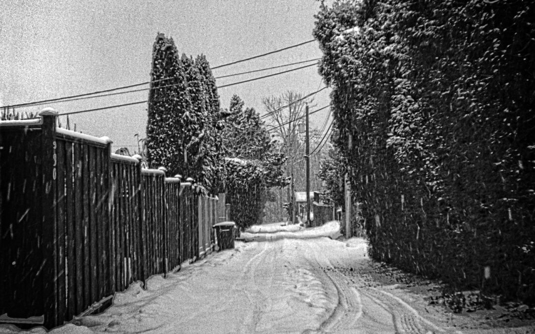 Back-Lane-in-Snow