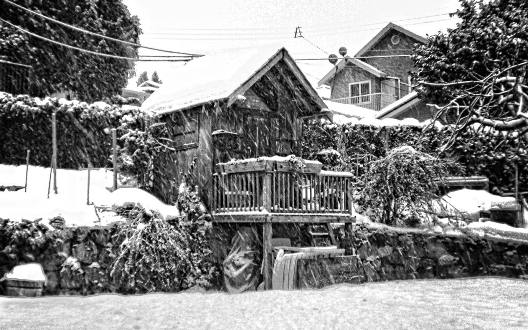Garden-Shed-in-the-Snow