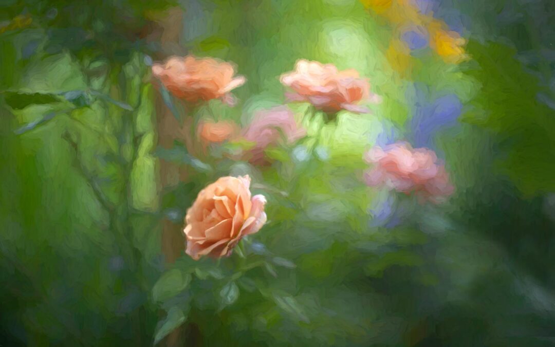 The-Roses—Oil-Paint-1400