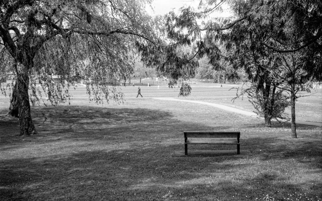 Bench-in-the-Park