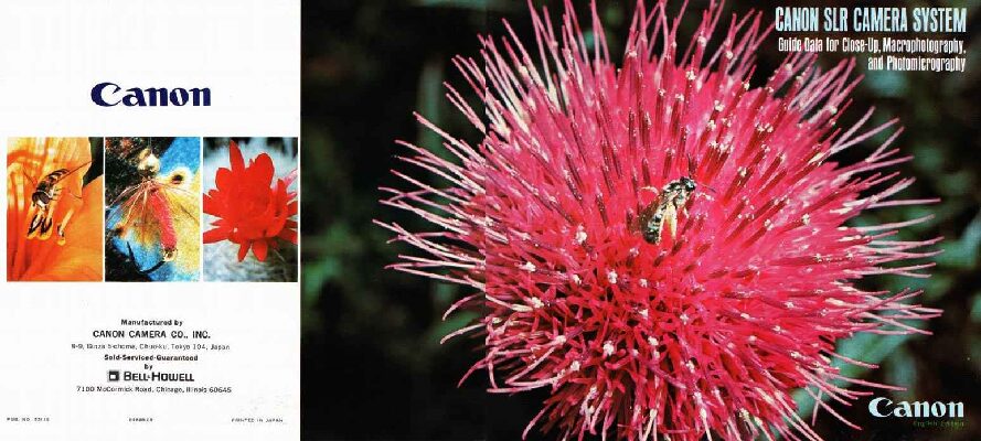 SLR Macro-Photography