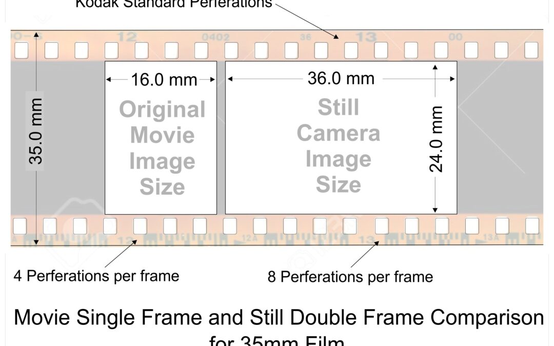 Movie and Still Film Dimensions