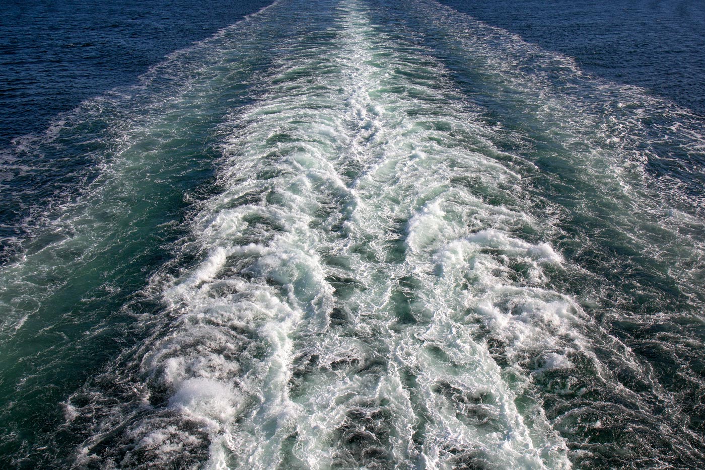 MS Eurodam MS Eurodam