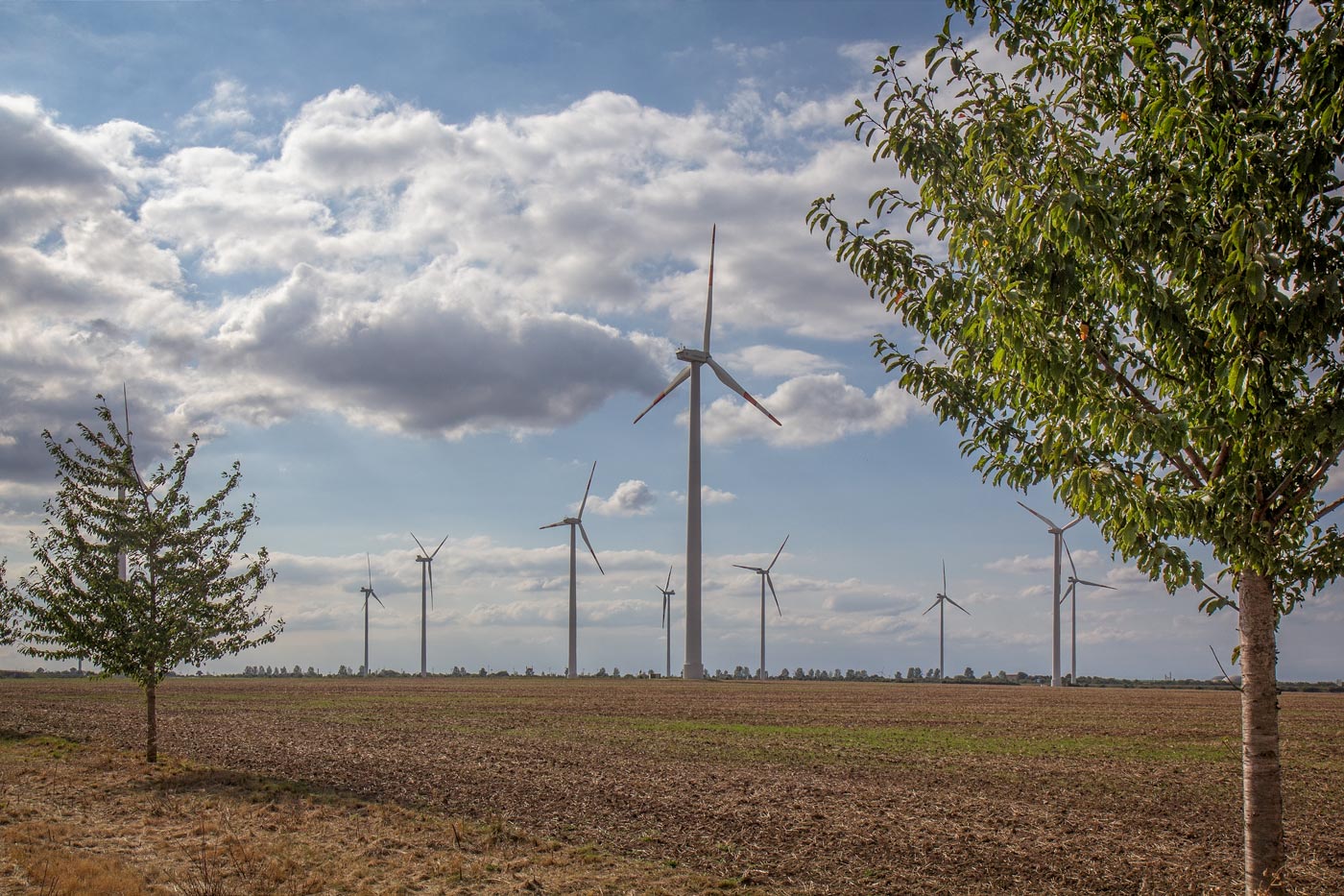 Wind Turbines Driving in Germany