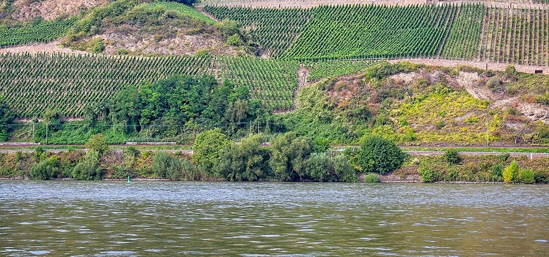 The Rhine River